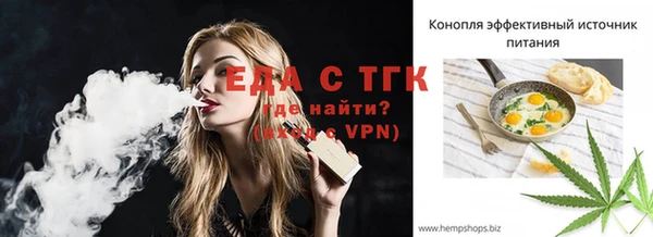 тгк Дмитров