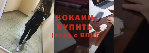 тгк Дмитров