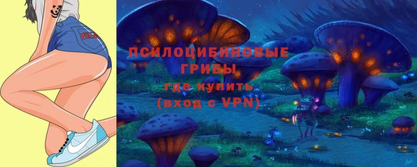 соль ск Чекалин