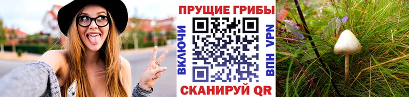Псилоцибиновые грибы мицелий  Курганинск 
